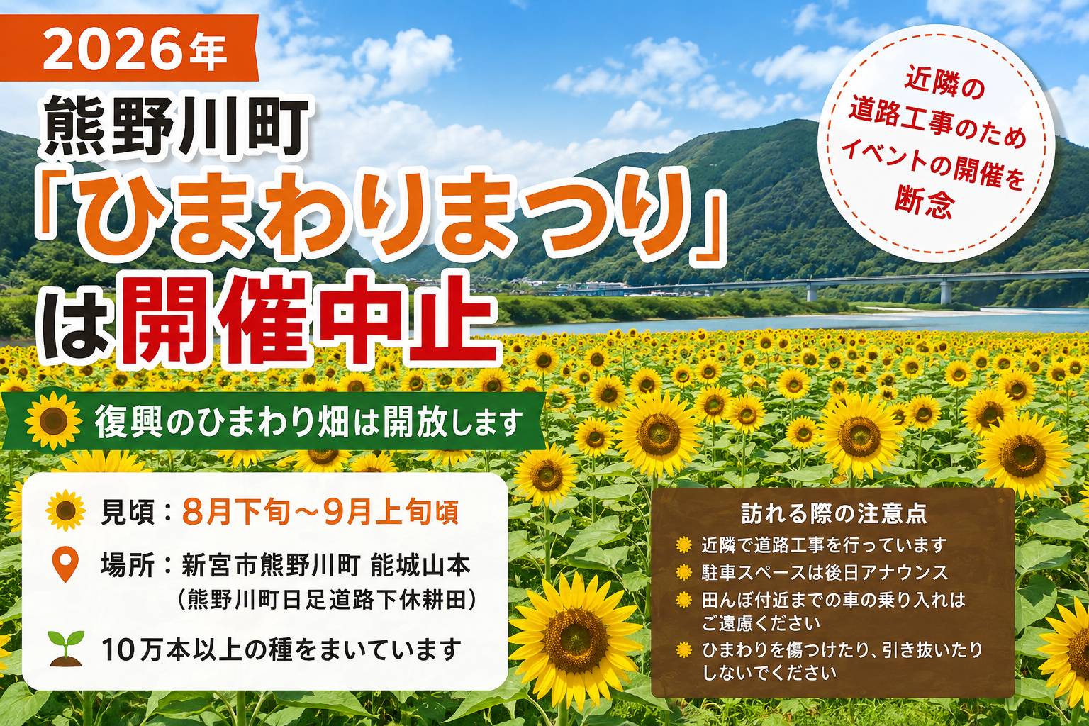 2026年】新宮市熊野川町「ひまわりまつり」は開催中止｜復興のひまわり